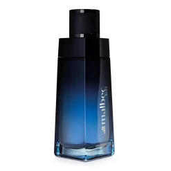 Perfume Masculino Malbec Edt Bleu 100Ml Exp